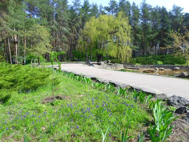 Навколо Русалоньки у парку 50-річчя тепер не лише озеро (Фото) — фото 3