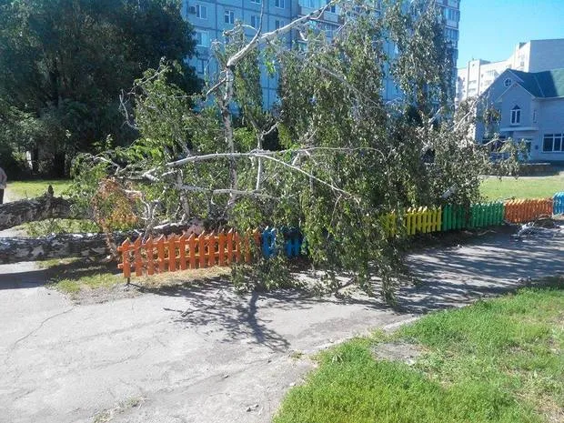 У Черкасах вчорашня негода вирвала дерево з корінням (Фото) — фото 1