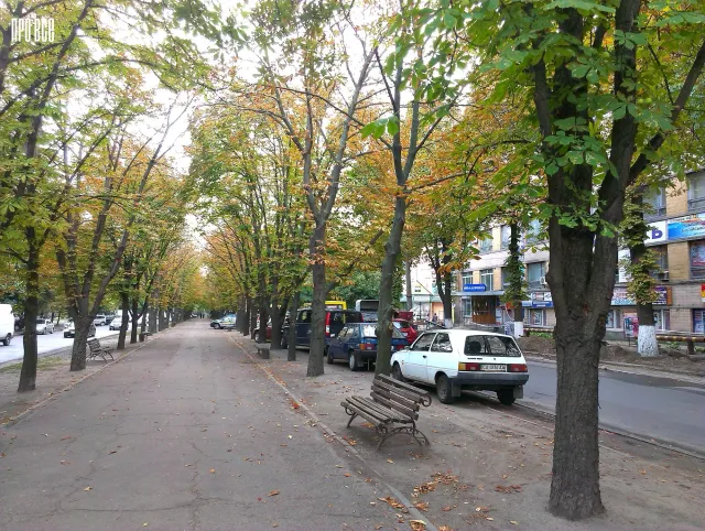 Авторагулі продовжують паркуватись на газонах (Фото) — фото 2