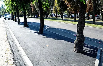 У Черкасах заасфальтували частину дерев по бульвару Шевченка — фото 1