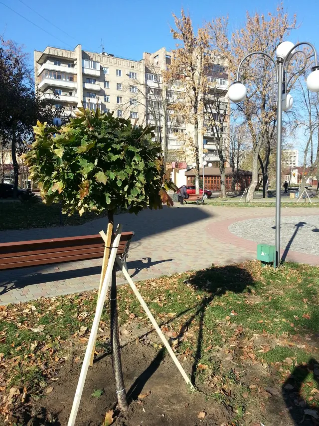 У Черкасах оновлено Симоненківський сквер — фото 1