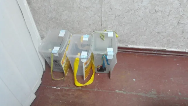 Благодійний фонд замість допомоги дітям наживався на благодійності та використовував працю неповнолітніх (фото) + (відео) — фото 4
