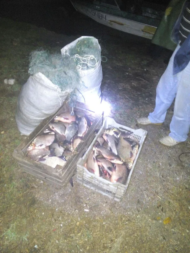За півтора тижні нересту автомайданівці «наловили» понад 6 кілометрів браконьєрських сіток і вилучили 320 кілограмів «незаконної»  риби — фото 4