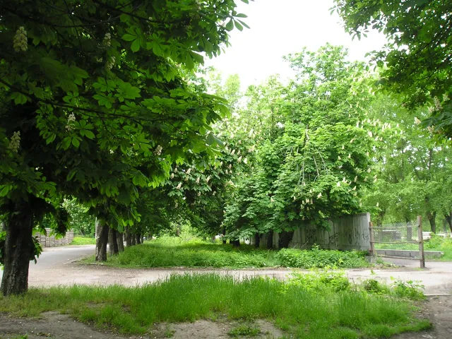 Черкаським забудовникам є що приховувати від черкащан? — фото 1