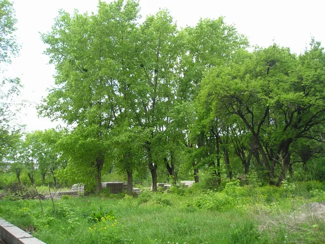 Черкаським забудовникам є що приховувати від черкащан? — фото 4