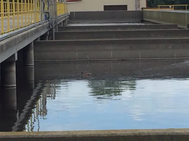 Що з водою у Смілі? — фото 2